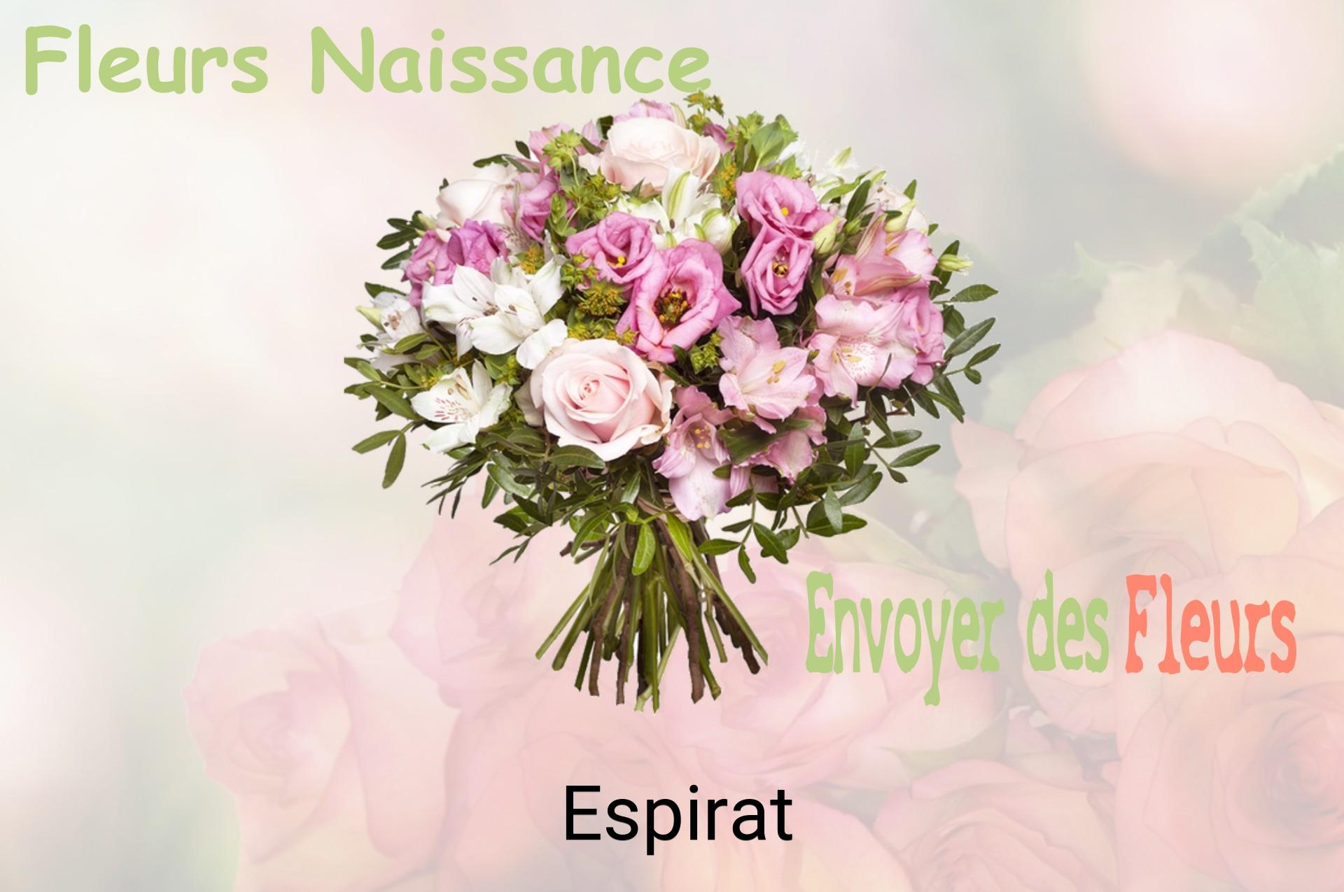 Bouquet de fleurs de naissance livré à Espirat