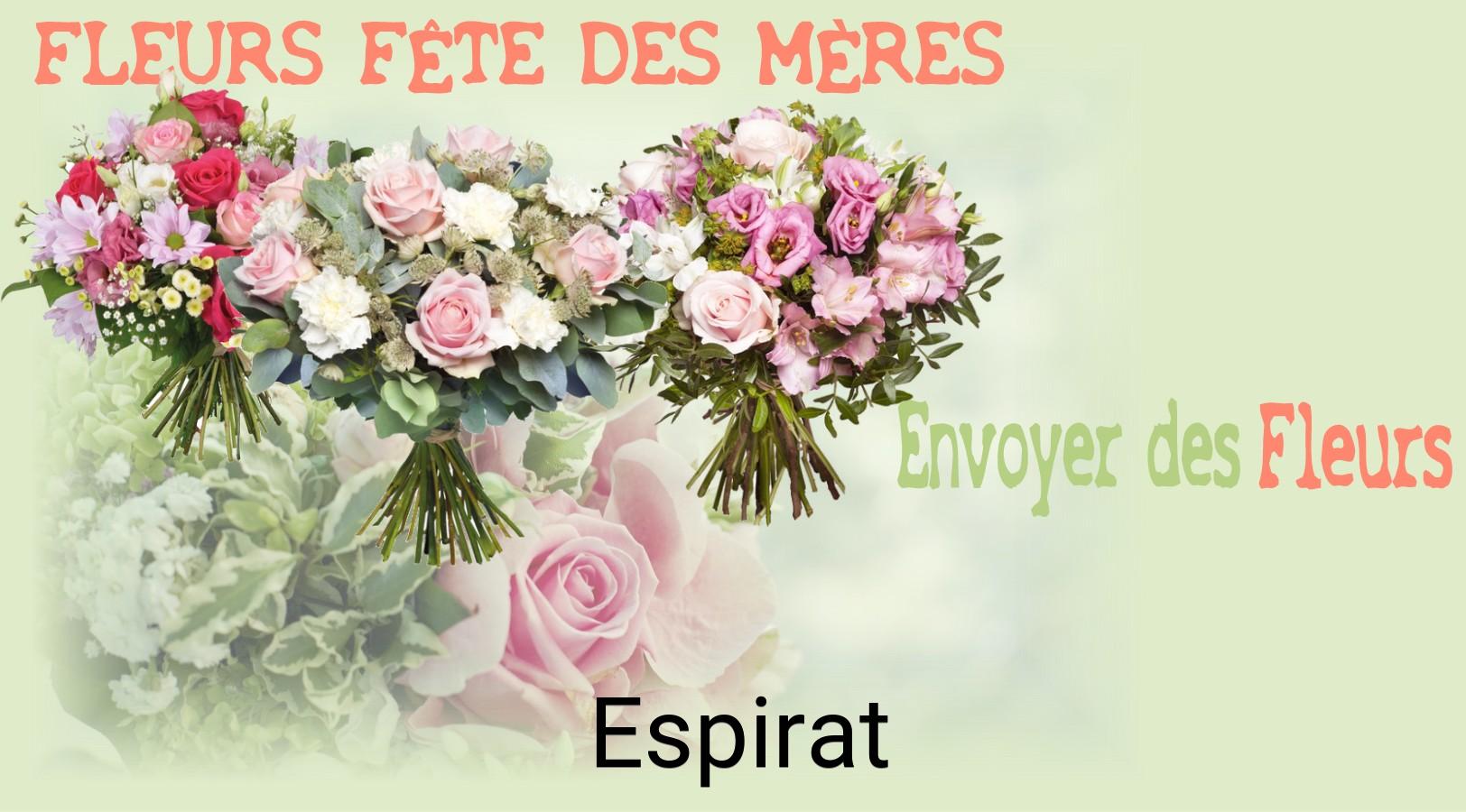 Bouquet de Fête des Mères livré à Espirat